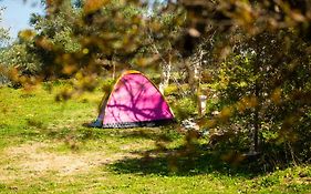 Camping Panorama