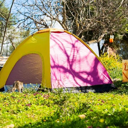 Hotel Camping Panorama Ouazzane Exterior foto