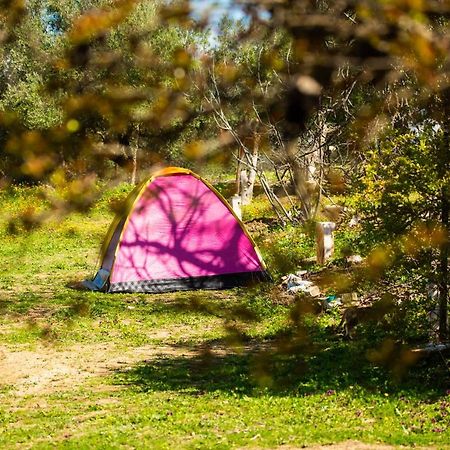 Hotel Camping Panorama Ouazzane Exterior foto